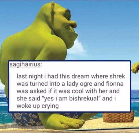 last night i had this dream where shrek was turned into a lady ogre and fionna was asked if it was cool with her and she said “yes i bishrekual” and i woke up crying