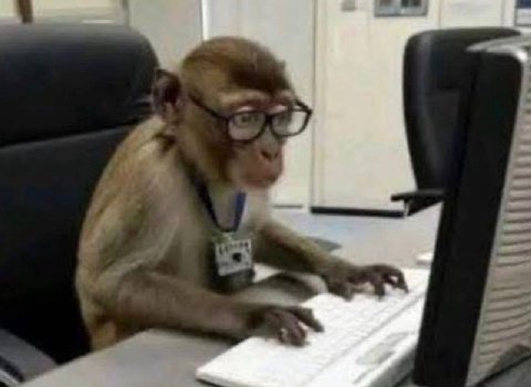 я на работе ищу другую работу:
