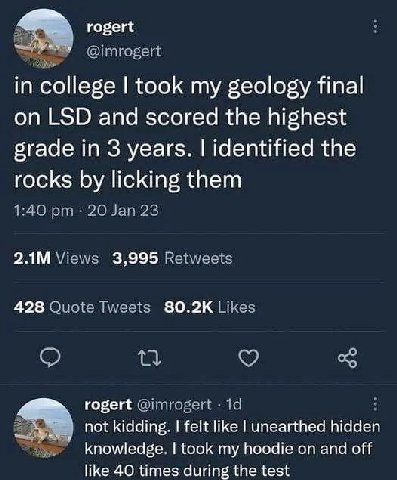 rogert in college took my geology final LSD and scored the highest grade in 3 years. identified the rocks licking them 3,995 428 80.2К rogert not kidding. felt like unearthed hidden knowledge. took my