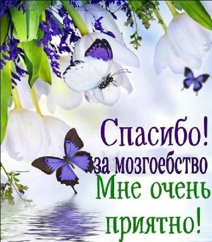 Спасибо! мозгоебетво HE Приятно!