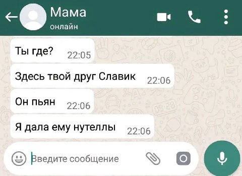 онлаин Ты где? 022.05 Здесь твой друг Славик ОН ПЬЯН 22.06 Я дала ему нутеллы Введите сообщение