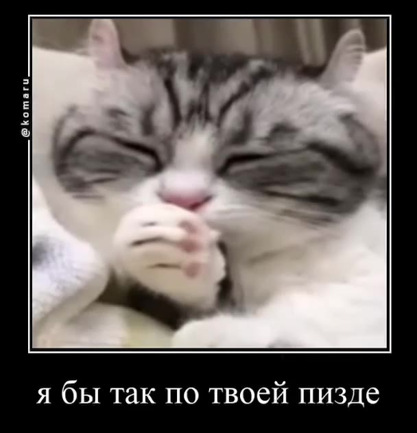 я бы так по твоей пизде