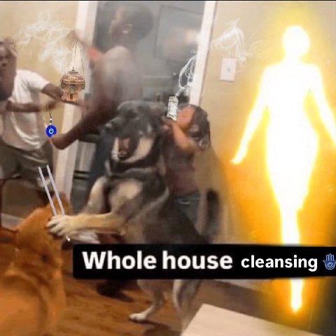 Whole house cleansing
