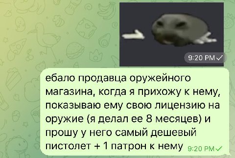 PMY ебало продавца оружейного магазина, когда я прихожу к нему, показываю ему свою лицензию на оружие (я делал ее 8 месяцев) и прошу у него самый дешевый пистолет 1 патрон к нему