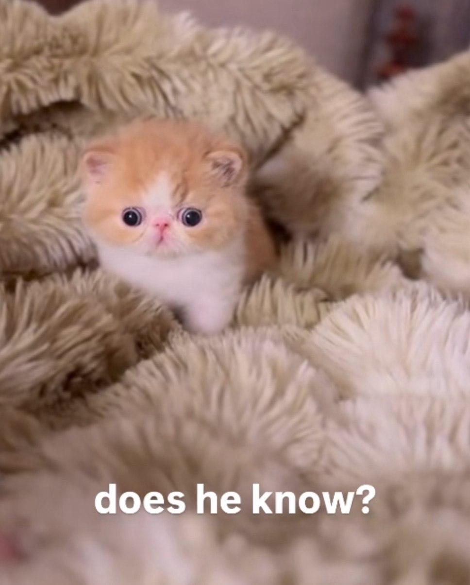 does he know?