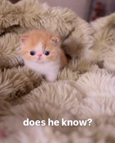 does he know?