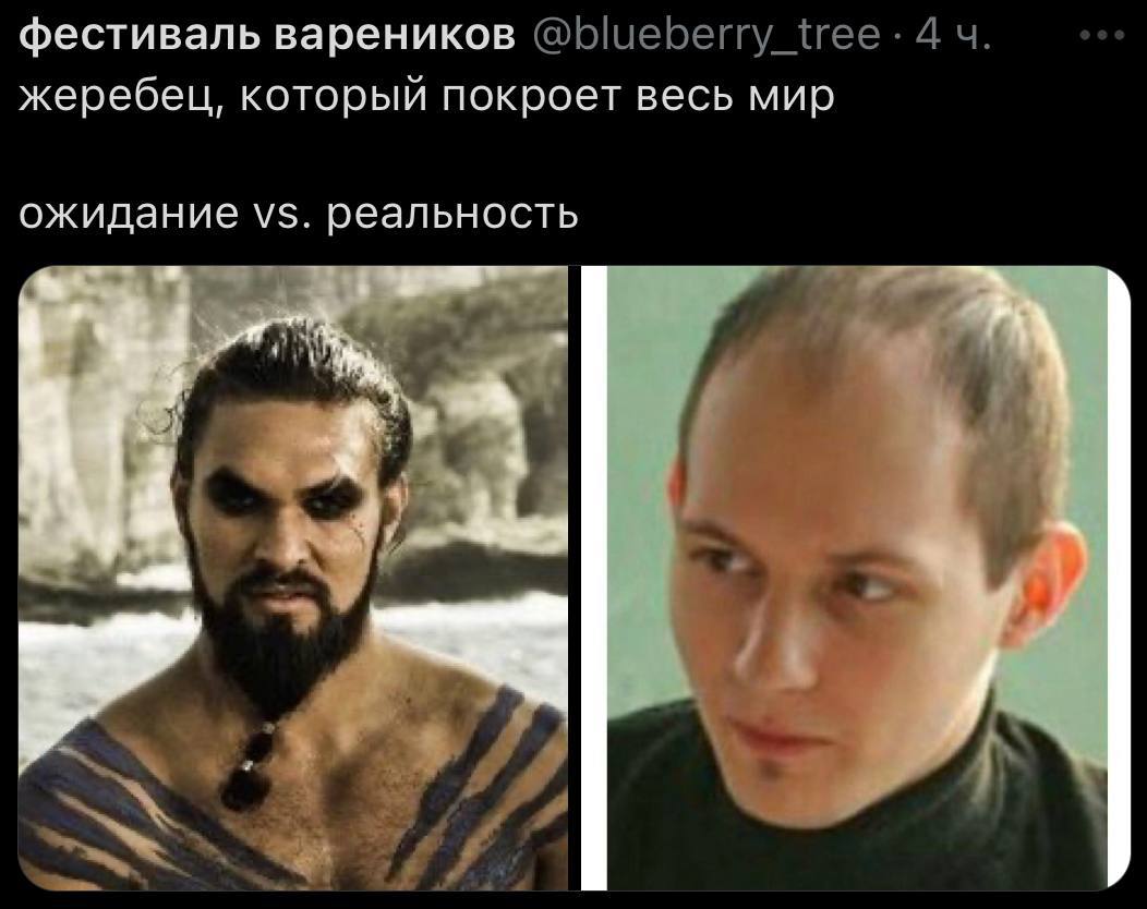 фестиваль вареников ©@Бшереггу {гее 4 жеребец, который покроет весь мир ожидание реальность