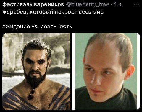 фестиваль вареников ©@Бшереггу {гее 4 жеребец, который покроет весь мир ожидание реальность