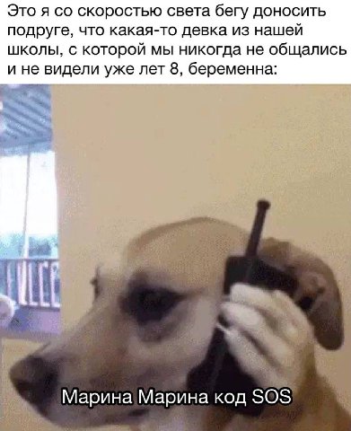 Это я скоростью света бегу доносить подруге, что какая-то девка из нашей школы, с которой мы никогда не общались и не видели уже лет 8, беременна: С у Марина Марина код SOS