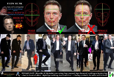 Мой новый любимый шизоаккаунт в твиттере - SkullandGait
Вычисляет скрытых трансов по форме черепа
