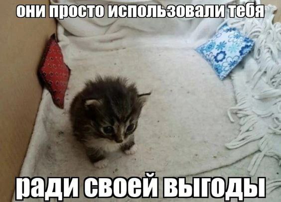 они просто использовали ради своей выгоды