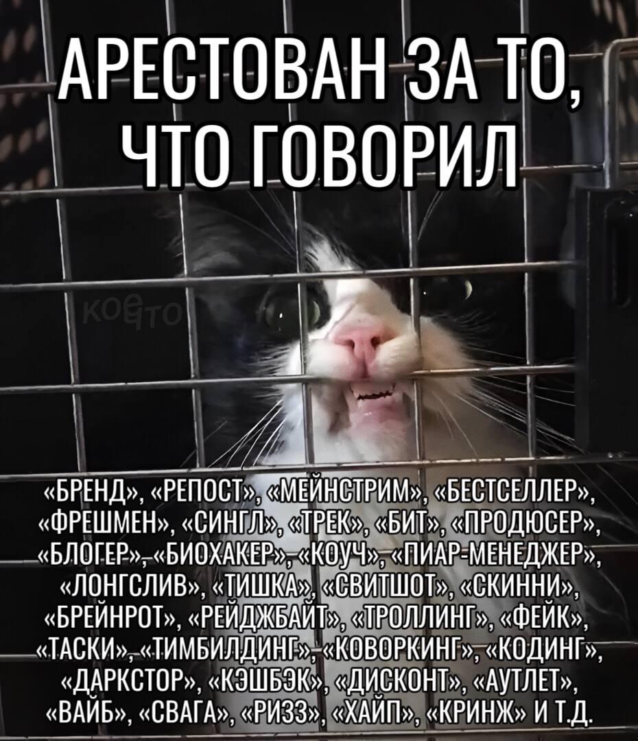 АРЕСТОВАН ЗА ТО, NTO ГОВОРИЛ A «БРЕНД», «БЕСТСЕЛЛЕР», «ФРЕШМЕН», «СИНГЛ», «ТРЕК», «БИТ», «ПРОДЮСЕР» «БЛОГЕР»,«БИОХАКЕР»; «Коуч»; «ПИАР-МЕНЕДЖЕР» «ЛОНГСЛИВ», «ТИШКА», «СВИТШОТ», «СКИННИ», «БРЕЙНРОТ», «