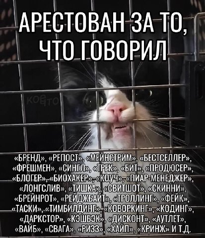 АРЕСТОВАН ЗА ТО, NTO ГОВОРИЛ A «БРЕНД», «БЕСТСЕЛЛЕР», «ФРЕШМЕН», «СИНГЛ», «ТРЕК», «БИТ», «ПРОДЮСЕР» «БЛОГЕР»,«БИОХАКЕР»; «Коуч»; «ПИАР-МЕНЕДЖЕР» «ЛОНГСЛИВ», «ТИШКА», «СВИТШОТ», «СКИННИ», «БРЕЙНРОТ», «