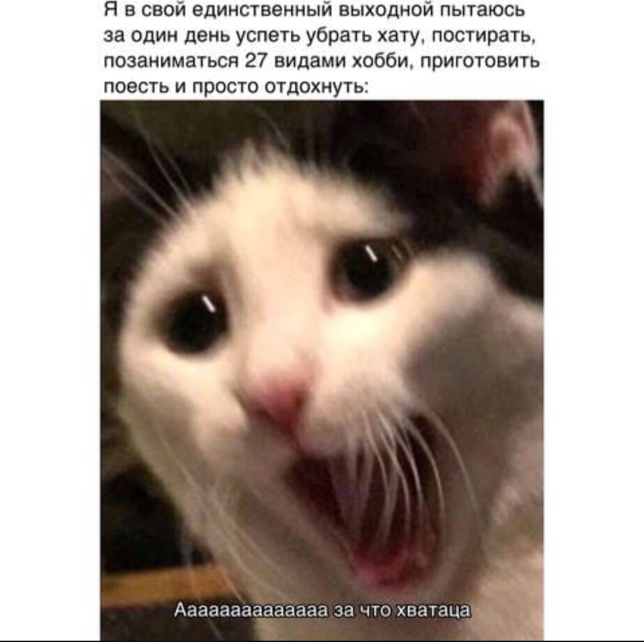 Я в свой единственный выходной пытаюсь за один день успеть убрать хату, постирать, позаниматься 27 видами хобби, приготовить поесть и просто отдохнуть: Аааааааааааааа за что