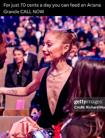Рог just 70 cents a day you can feed an Ariana Grande CALL NOW gettyimages Credit: Richard
