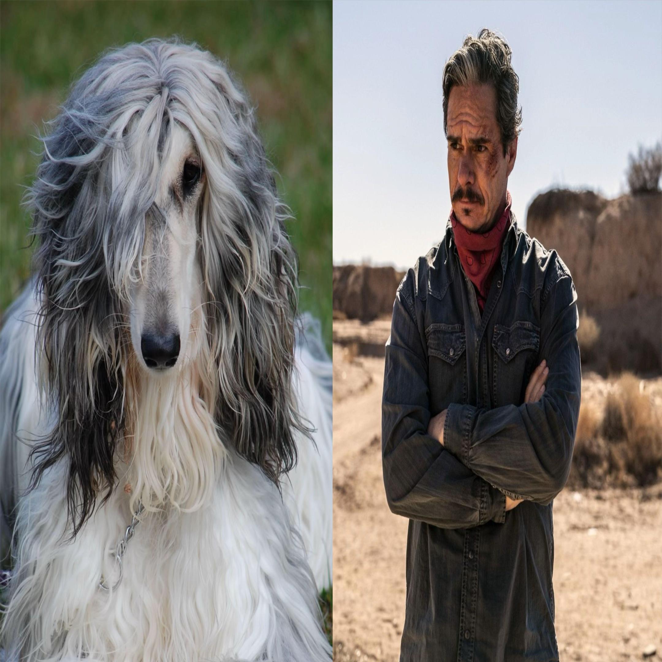 <A К i я 7} В 7 И 4 и iff А
