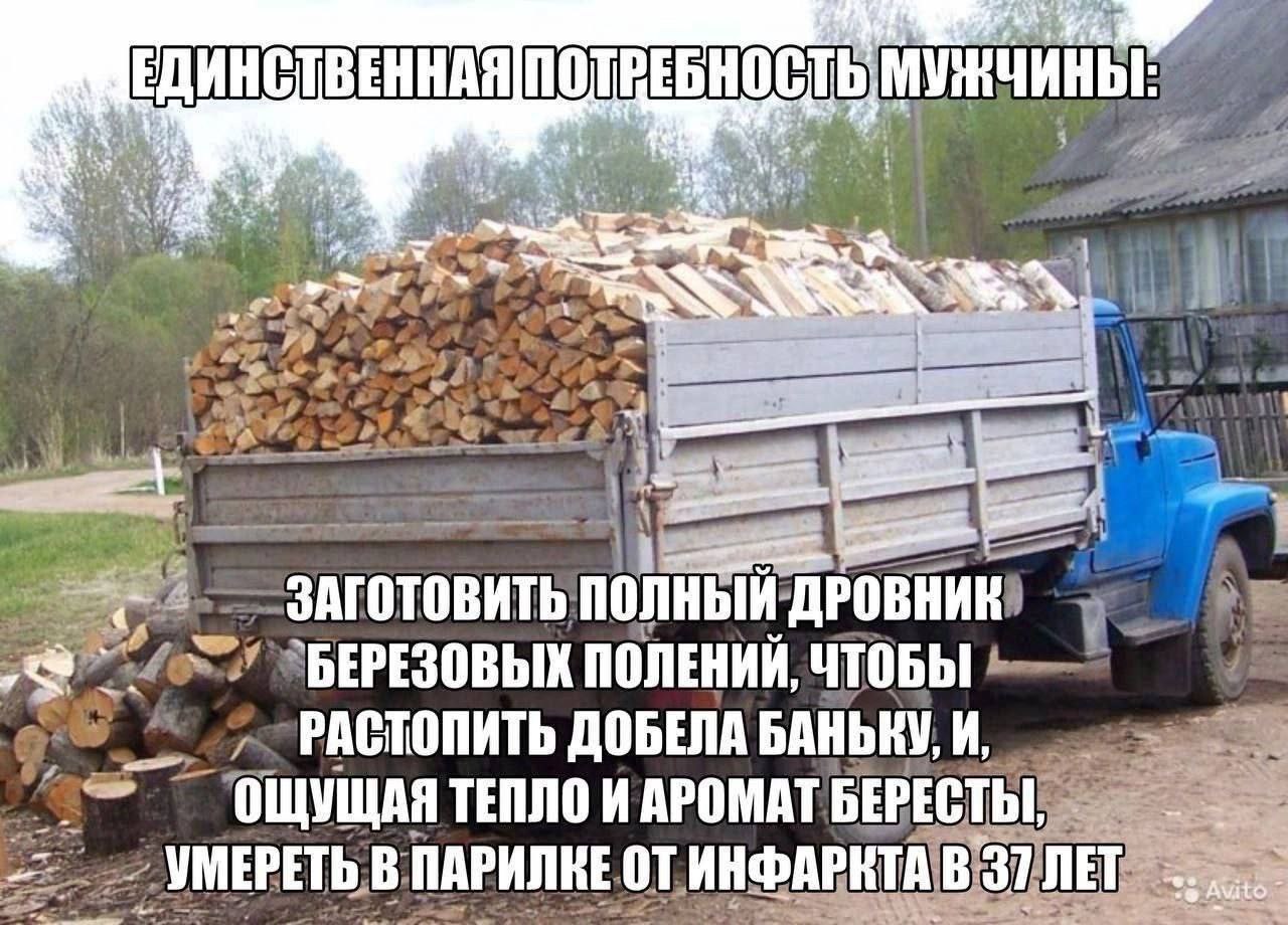Whe ЕДИНСТВЕННАЯ ЗАГОТОВИТЬ ПОЛНЫЙ ДРОВНИК ПОЛЕНИИ, ЧТОБЫ РАСТОПИТЬ ДОБЕЛА БАНЬКУ, И, ОЩУЩАЯ ТЕПЛО И АРОМАТ БЕРЕСТЫ, УМЕРЕТЬ В ОТ ИНФАРКТА