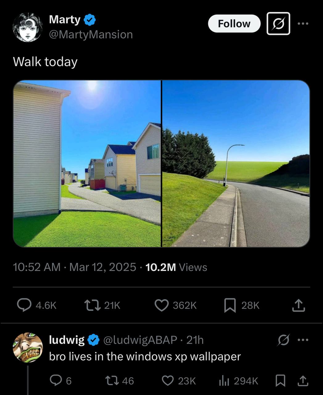 Marty @MartyMansion Walk today 10:52 Mar 12, 2025 Views 4.6к ludwig @ludwigABAP #8 bro lives in the windows wallpaper Об 11 46 23к