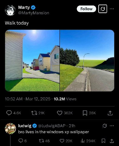 Marty @MartyMansion Walk today 10:52 Mar 12, 2025 Views 4.6к ludwig @ludwigABAP #8 bro lives in the windows wallpaper Об 11 46 23к