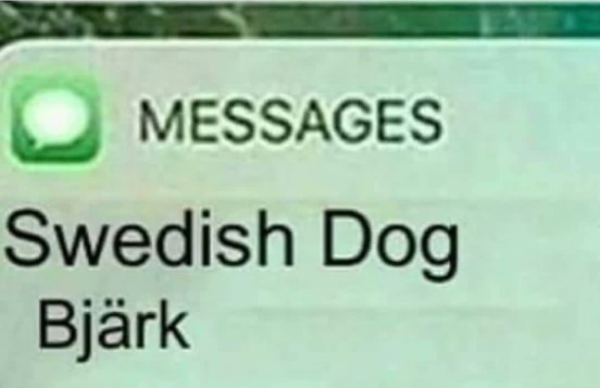 MESSAGES Swedish Dog Bjark