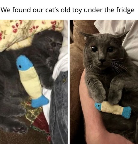 We found our old toy under the fridge
