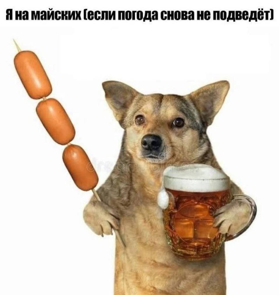 Яна майских (если погода снова не подведёт)