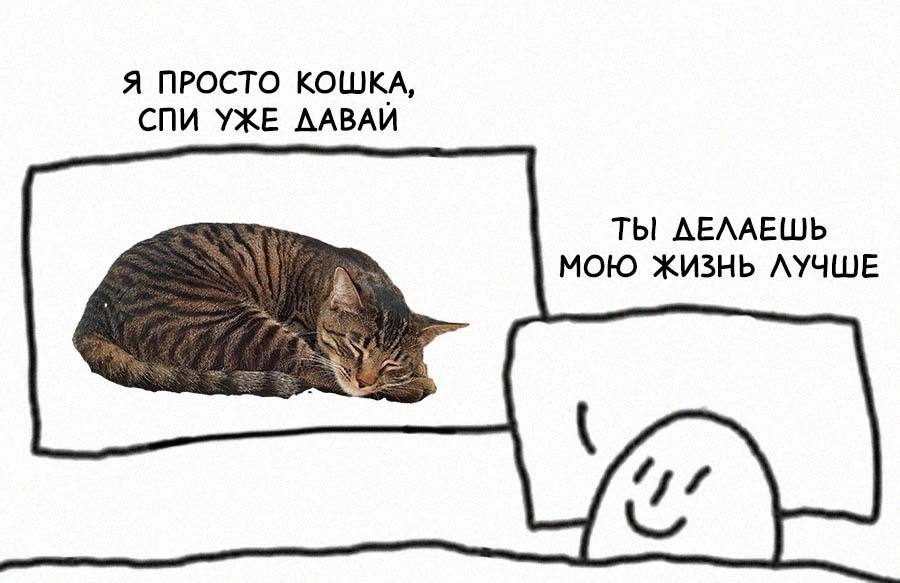 Я ПРОСТО КОШКА, СПИ УЖЕ ЛАВАИ ТЫ ДЕЛАЕШЬ МОЮ ЖИЗНЬ ЛУЧШЕ