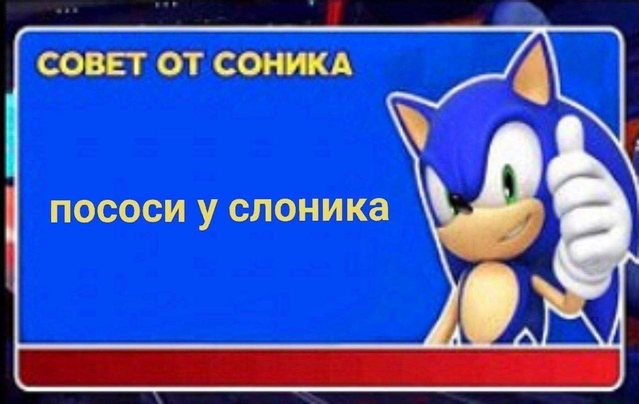СОВЕТ ОТ СОНИКА пососи у слоника