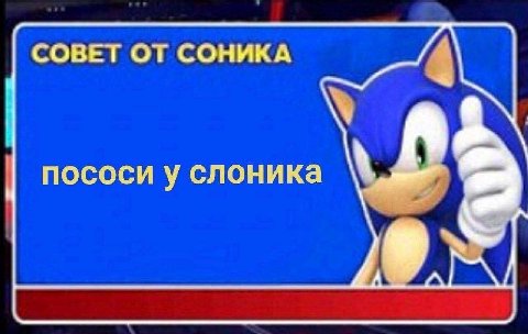 СОВЕТ ОТ СОНИКА пососи у слоника