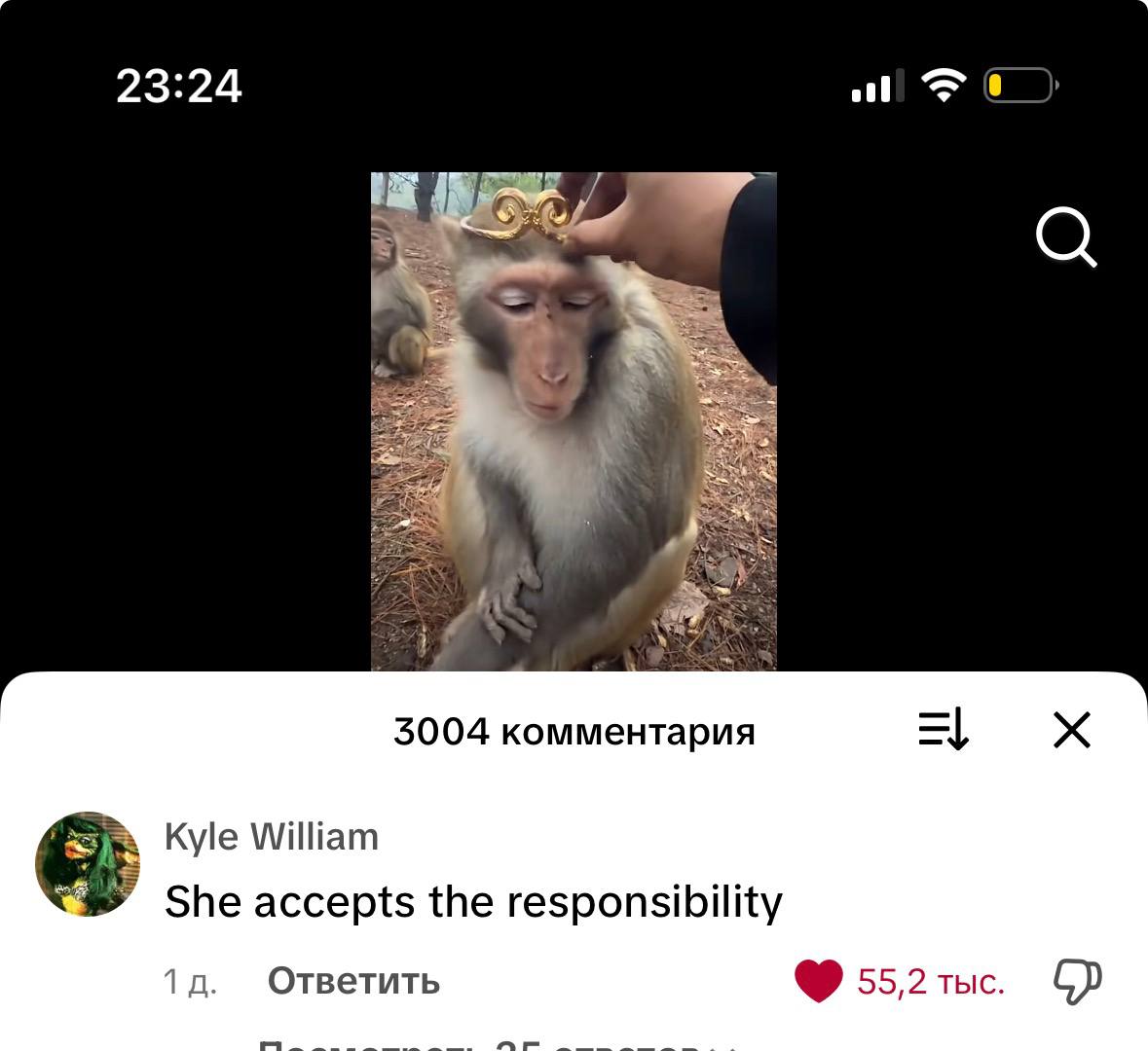 23:24 0 3004 комментария Kyle William 8 She accepts the responsibility Ответить 55,2. ТЫС;