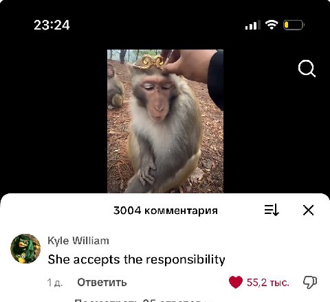 23:24 0 3004 комментария Kyle William 8 She accepts the responsibility Ответить 55,2. ТЫС;