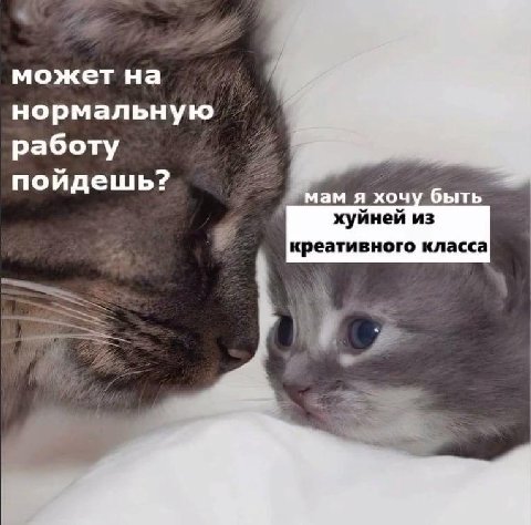 может на нормальную работу поидешь: мам я хочу быть хуйней из креативного класса
