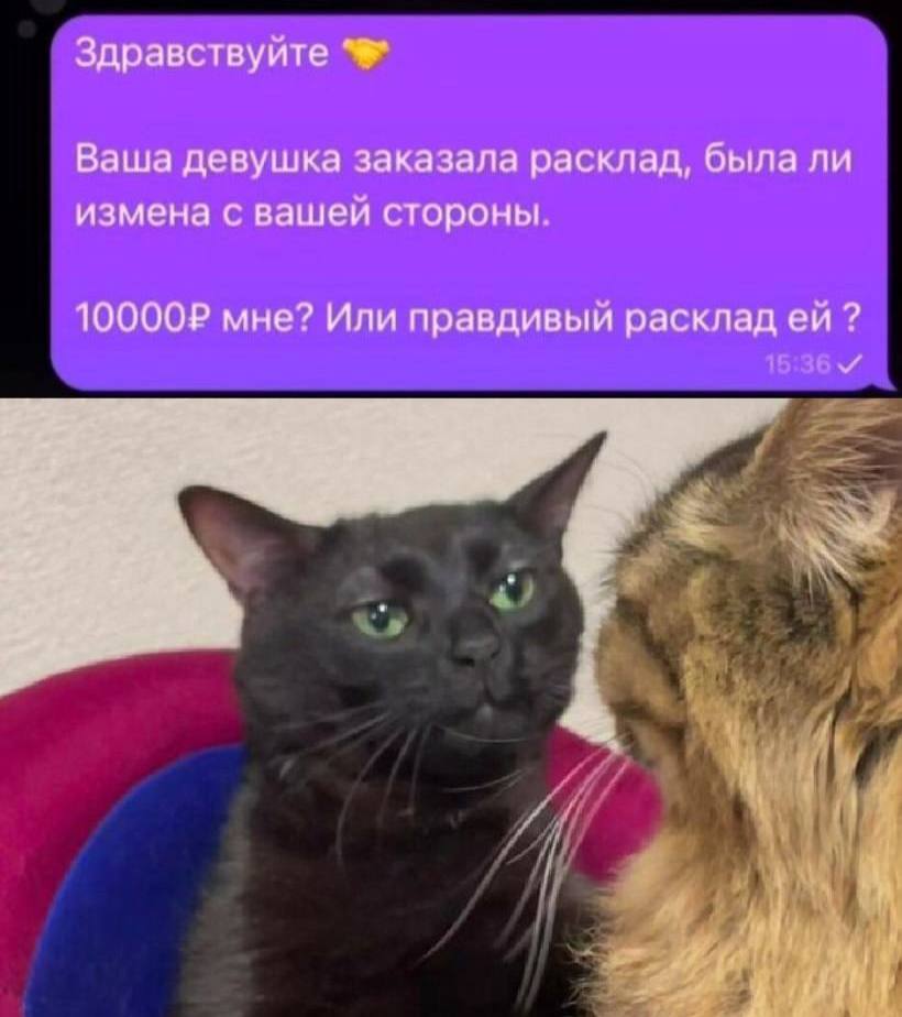 Здравствуйте Ваша девушка заказала расклад, была ли измена с вашей стороны. мне? Или правдивый расклад i