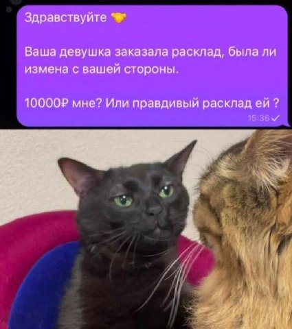 Здравствуйте Ваша девушка заказала расклад, была ли измена с вашей стороны. мне? Или правдивый расклад i