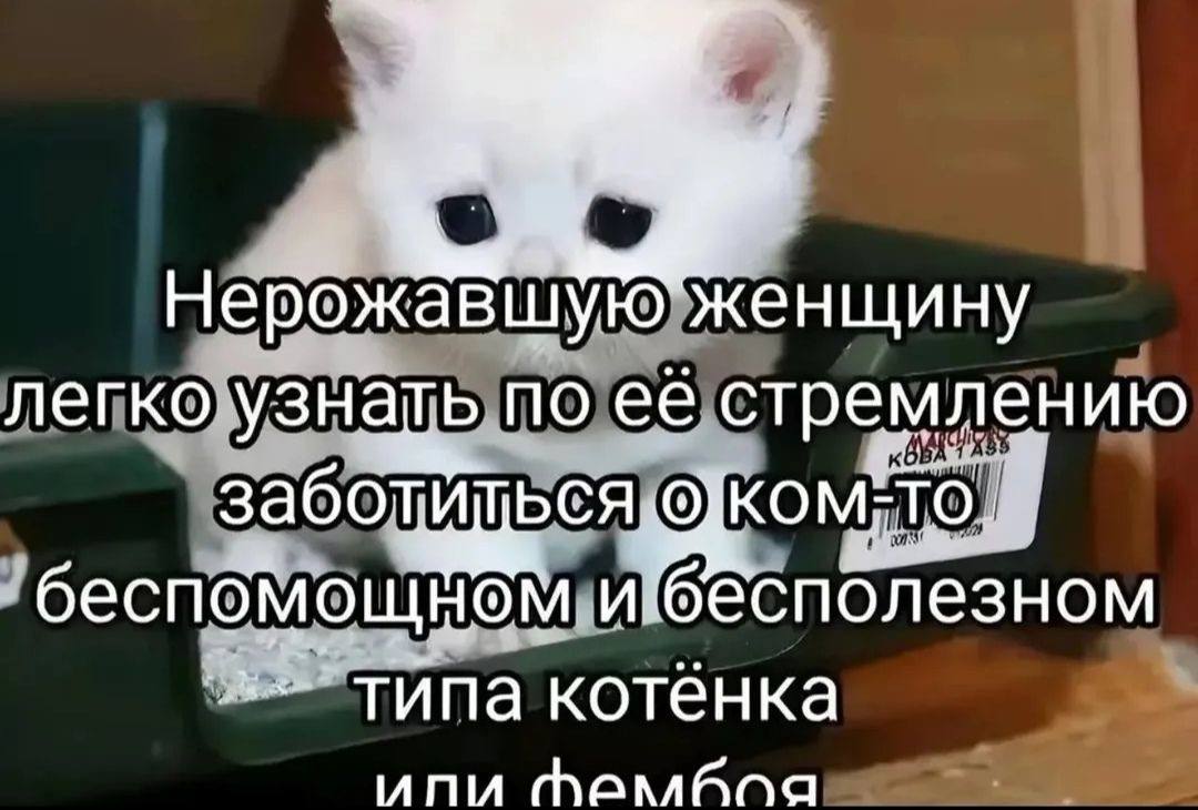 ну легко узнать по ее стремлению заб беспомощном и бесполезном типа котёнка ипи
