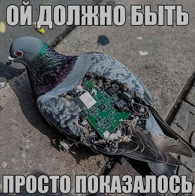 БЫТЬ AN 4 POCTO ЗАЛОС a