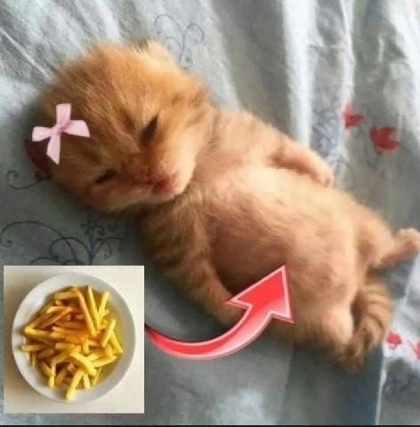 4 к
