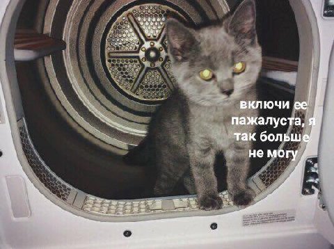 Я включи ее пажалуста, так больш не могу