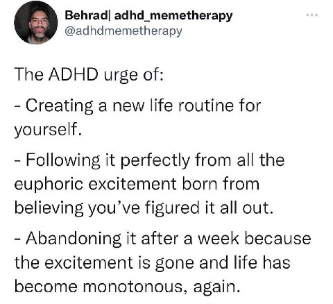 Behrad| adhd_memetherapy @adhdmemetherapy The ADHD urge of: Creating a new life routine for yourself. Following it perfectly from all the euphoric excitement born from believing figured it all out. Ab