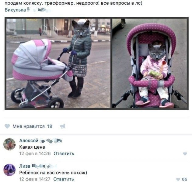 продам коляску. трасформер. недорого! все вопросы в Викулька of 1 a Мне нравится 19 Алексей Какая цена 12 фев в 14:26 Ответить Лиза Be Ребёнок вас очень похож) 12 фев в 14:27 Ответить 65