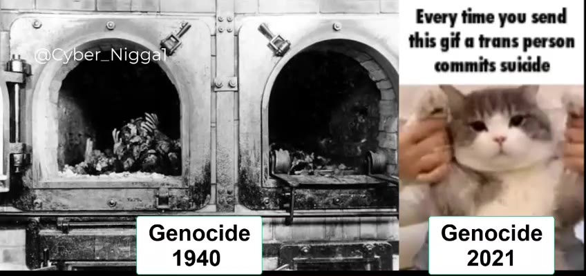 м я 1" \% this gif a trans person тика Genocide | о ыы Genocide | ‹ АУ ег Nigga ‘ | commits suicide