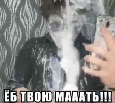 ЕБ ТВОЮ МАААТЬ!И Е БТВОЮ`МАААТЬ!!!