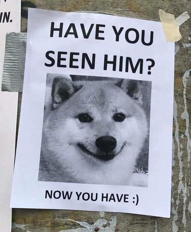 IN. ane You SEE HIM? we у “A 4 NOW YOU HAVE