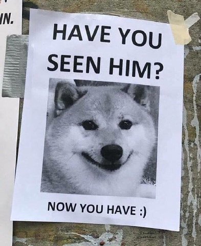 IN. ane You SEE HIM? we у “A 4 NOW YOU HAVE