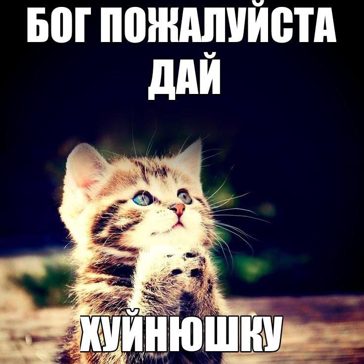 БОГ ПОЖАЛУЙСТА ДАИ =a И