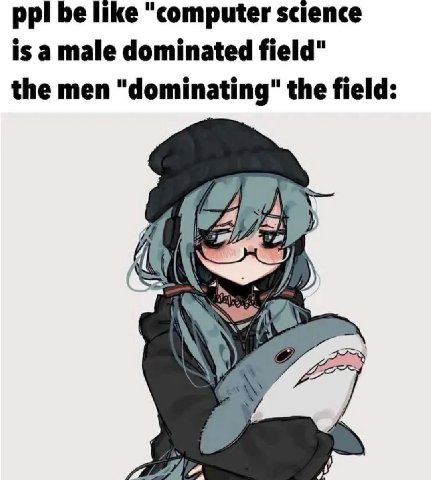 ppl be like "computer science is a male dominated field" the men "dominating" the field:
