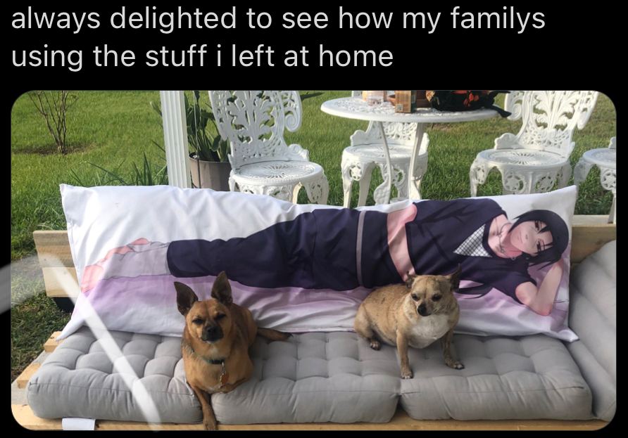 always delighted to see how familys using the stuff left at home A