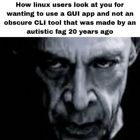 How linux users look at you for wanting to use a GUI app and not an obscure CLI tool that was made an autistic fag 20 years ago