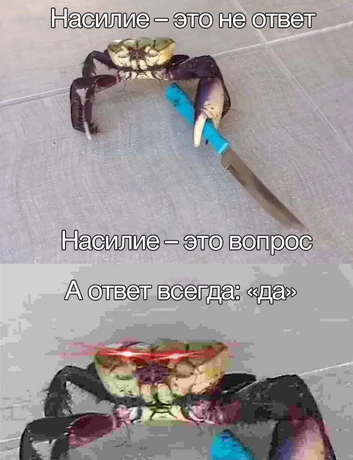 Насилие это не ответ fee Насилие это вопрос ответ всегда: «да»