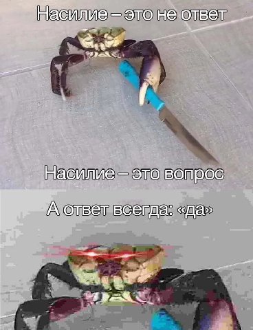 Насилие это не ответ fee Насилие это вопрос ответ всегда: «да»